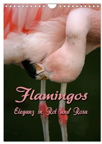 Flamingos - Eleganz in Rot und Rosa (Wandkalender 2026 DIN A4 hoch), CALVENDO Monatskalender: Auf Augenhöhe mit Flamingos (CALVENDO Tiere)