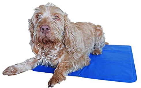 Rosewood Pet Cool Mat, 70 x 91 cm, Large