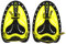 SUNGOOYUE Schwimmpaddel, Schwimmen, Tauchen, Handflossen, Paddel mit Schwimmhäuten, Trainingsflosse, Tauchausrüstung(L-Gelb)