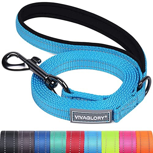 VIVAGLORY Hundeleine Dailyx Führleine Hundeleine, 120 x 1.4cm, Blau | Leine Welpenleine mit Schlaufe & Gepolstertem Griff für Hausleine Joggingleine, Reflektierend & Gepolstert Neopren für Hunde