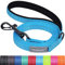 VIVAGLORY Dailyx Hundeleine, Welpenleine Hausleine Joggingleine Für Hunde, Hundeleine mit Schlaufe Und Gepolstertem Griff, Reflektierend & Gepolstert, 120 x 1.4cm, Blauer See
