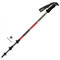 Gabel Montblanc 4.0 Alu Telescopic Poles 66-142 cm