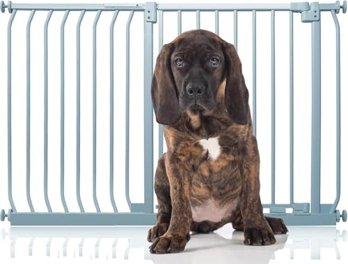 Bettacare Elite Hundegitter, 125cm - 134cm, Matt Grau, Druckbefestigung Hundegitter für Hunde und Welpen,Barrière Einfache Installation