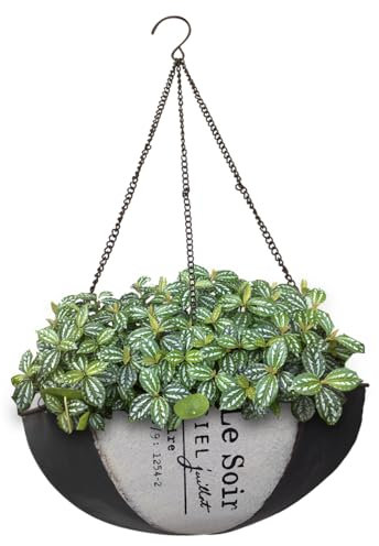 TentHome Blumenkorb zum Aufhängen Blumentopf mit Kette Abflusslochs Pflanzkorb Metall Blumenampel Regenschirm Hängend Pflanzentopf für Innen Außen Pflanzen Blume Decken Balkon Schwarz