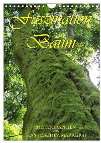 Faszination Baum (Wandkalender 2026 DIN A4 hoch), CALVENDO Monatskalender: Ausducksstarke Fotos von Baumstämmen (CALVENDO Natur)