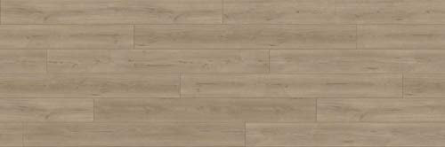 Parador Dekorboden Laminat Trendtime 6 Eiche Loft grau Lebhafte Struktur Schlossdiele 4-V-Fuge