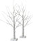 Northpoint LED Lichtbaum Baum Weihnachtsdeko 2er-Set für Innen | Birkenoptik | 60cm | 24 warmweiße LEDs | Batteriebetrieben | inkl. Timer