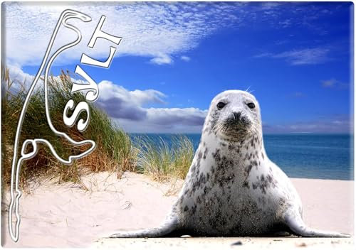 Foto Magnet Sylt Robbe - Kühlschrankmagnet Souvenir Fotomagnet
