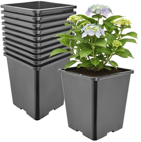 Garronda Pflanztopf Kunststoff hoch 20,5 x 20,5 x 23,5 cm (7L) 10er Set eckig mit Drainagelöchern Blumentopf PP Pflanzgefäß für Garten Gewächshaus Balkon Anzucht Innen Außenbereich Schwarz GD-0201