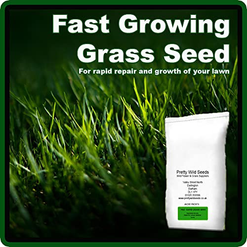 2Kg Rapid PRO Seed Premium Quality Grass Seed Hard Wearing Lawn 2 Kg