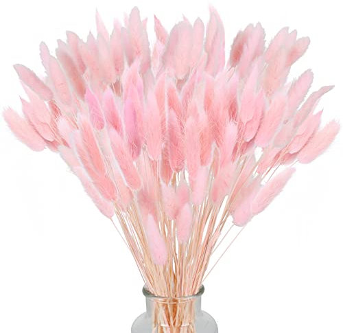SLFYEE 120pcs Herbe De La Pampa Fleurs Séchées Ovatus Séché Naturel 43cm Fleur Sechees Naturelle Boheme Fleurs Décoration Anniversaire Décoration Mariage Décoration Maison(Rose)
