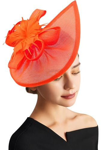 DRESHOW Fascinator Hüte für Damen Pillbox Hut mit Schleier Stirnband und Einer Gegabelten Clip Tea Party Kopfbedeckung