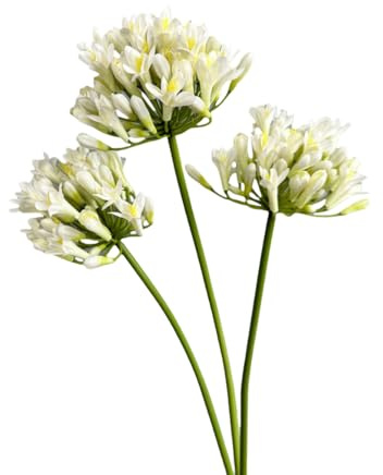 Urier 3 Pieces Large Artificial African Agapanthus,Long Stem Artificial Flowers for Tall Vase,Silk Plants for Home Decor Indoor, Silk Flowers for Wedding Bouquet Office Party Decor (White, 26)