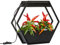 Northpoint Design LED Pflanzenlampe Pflanzenleuchte Kräutergarten Innengarten Gewächslampe Wandmontage Metallgestell 12W 750 Lumen Timer Industrial-Look Hexagon-Form