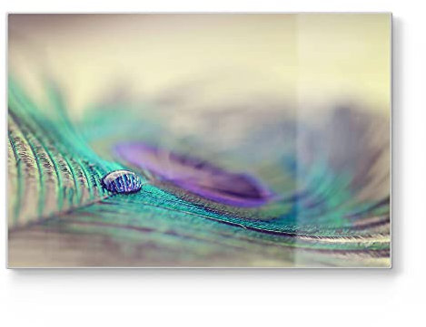 DEQORI Schneidebrett aus Glas | groß 30x20 cm | Motiv Wasserperle auf Feder | Design Schneideplatte für Küche | Frühstücksbrett antibakteriell & rutschfest | Glasplatte & Servierplatte