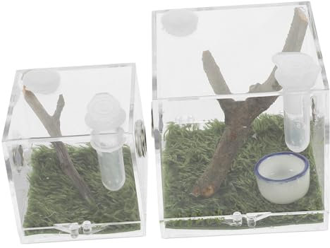 PATKAW 2 Stück Springspinne Mikro Großer Lebensraum Acryl Reptilien-Terrarium Kleine Haustier-Insekten-Aufzuchtbox Transparenter Reptilienkäfig Mini-Träger Für Amphibien-Futterbehälter