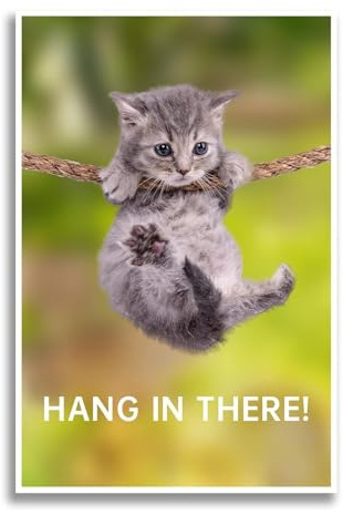 WVPJJNXAFN Hang in There Cat Poster, Funny Motivational Wall Art with Inspirational Quote, Vintage Kitten Poster for Office Decor, Home Living Room Bedroom Canvas Print(Unframed,16x24inch(40x60cm))