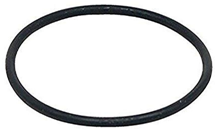 Fluval Dichtungsring für den Motor des Fluval Außenfilter FX4