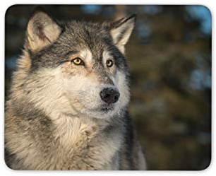 Husky Wolf Forest Animal Mouse Mat Pad - Brown Wild Dog His Hers #16948