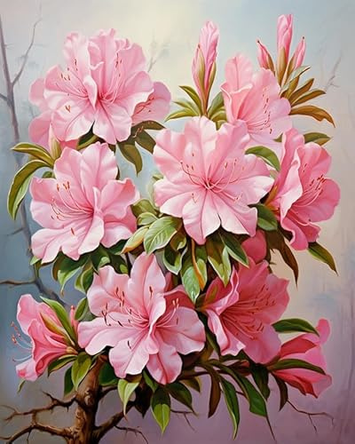 DIY Oil Painting Paint by Number Kit Frameless Flower Azalea Paint by Numbers Oil Painting Canvas Print Wall Art Home Decoration