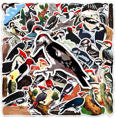 50 Stück Holzvögel Aufkleber Auto Laptop Telefon Gitarre Skateboard Motorrad Fahrrad Woodpecker Stickers Set Vinyl Wasserdicht Aesthetic Aufkleber für Jugendliche Kinder Erwachsene