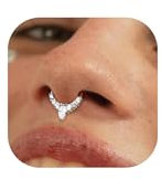 BodyBonita 16G Septum Piercing Schmuck – 316L Edelstahl Nasenring Nasenpiercing mit Zirkonia für Frauen Männer Conch Helix Piercings Tragus Daith Knorpel Ohrpiercing Silber 10mm Celestial Array