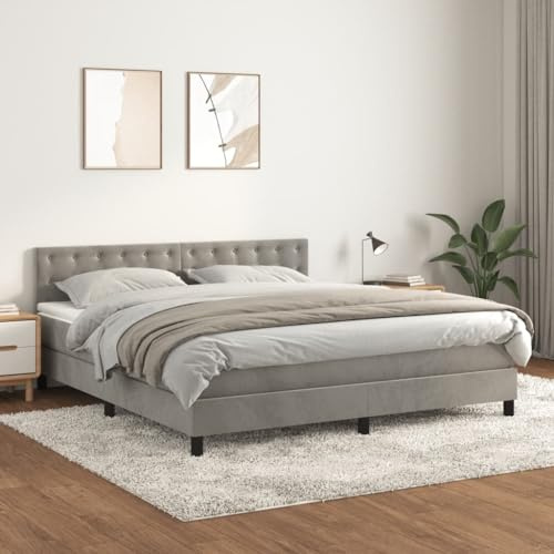 Hommdiy Boxspringbett mit Matratze Polsterbett Hellgrau 160x200 cm Samt Knöpfe