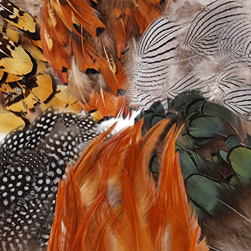 180Pcs 6 Arten Sortierten Federn Handwerk,Mwoot Hühnerfedern Natur zum DIY Ohrring Wings Dream Catcher Crafts Aktivitäten Hochzeit Home Decoration Party