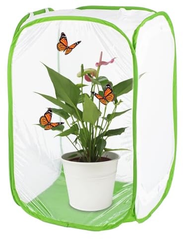 Antoll Jaula de hábitat de mariposa azul de 24 pulgadas, tamaño M, hábitat de mariposa monarca, jaula de mariposa para orugas, jaula de malla de insectos voladores, planta de observación al aire