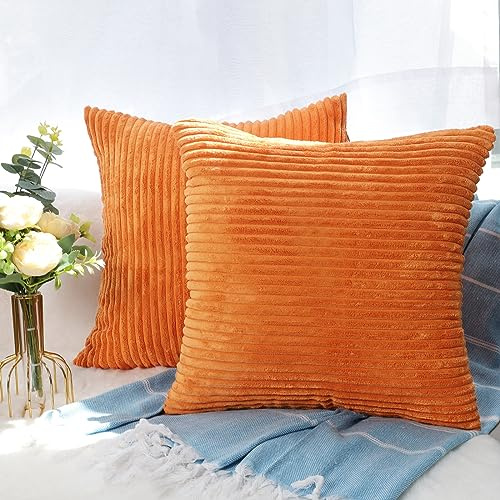 CALIYO Kissenhülle Kord Uni 2er Set, Kissenbezug 50x50 Kissenbezüge für Zierkissen Dekokissen Sofakissen Couchkissen in vielen Farben.