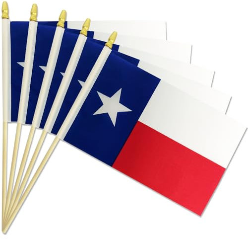 Paquete de 20 banderas de mano de Texas de 5 x 8 pulgadas, banderas pequeñas del estado de Texas Lone Star TX en palos de madera con parte superior de lanza, mini bandera texana para elecciones,