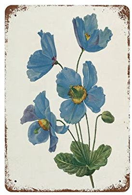 FJQWKLF Blue Poppy Flower Botanical Retro Wall Poster Art Decor Targa in metallo Garage Bar Cortile Decorazione 8x12 pollici