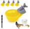 Hühner-Wasserbecher (5 Pack), automatische Hühnerbewässerung, Anti-Leck-System, hält 50% mehr Wasser, geeignet für Küken, Huhn, Ente, Wachtel, Truthahn