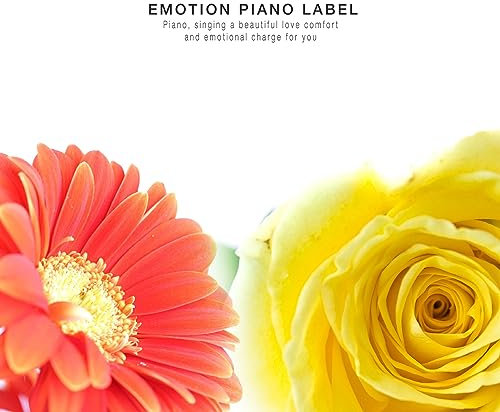 A piano collection that wipes away tears with a warm sensation