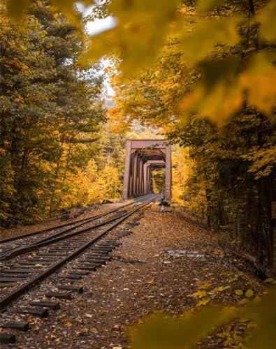 Puzzle 1000 Teile ab 12 Jahren,buntes Erwachsenenpuzzle -Eisenbahn, Herbst, Laub 70x50cm