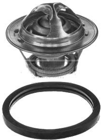 Borg & Beck BBT005 Thermostat Kit To Fit Ford Escort Fiesta Orion plus