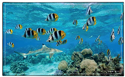 Viquel - Schreibtischunterlage Aquarium - Schutz des Schreibtischs Hai