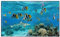 Viquel - Schreibtischunterlage Aquarium - Schutz des Schreibtischs Hai