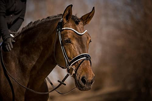 Horsecode Trense Moonlight Diamond W Vollblut