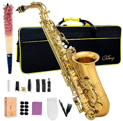 Cadway Alto Saxophone Eb beginner Saxophone includes brush canvas suitcase glove whistle piece cork plaster wipe cloth neck strap and other accessories (Gold)