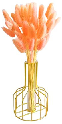 CUCUFA Getrockneter Hasenschwanzblume natürliche Kaninchen Schwanz getrocknete Blumenbouquet -Pampas Gras -Dekor für Wohnkultur 50pcs 50 cm Orange getrocknete Hasenschwänze Blumen