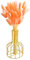 CUCUFA Getrockneter Hasenschwanzblume natürliche Kaninchen Schwanz getrocknete Blumenbouquet -Pampas Gras -Dekor für Wohnkultur 50pcs 50 cm Orange getrocknete Hasenschwänze Blumen