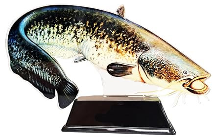 Vistrofee Real Fish Wels 20cm Preis Trophäe Welswettbewerb Fisch Fisch Fischpreis Angelpreise