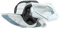 RIDEX 247E0416 Motorlager Rechts, Hinten