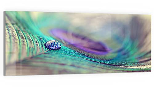 DEQORI Glasbild Echtglas | Motiv Wasserperle auf Feder | horizontal einteilig 125x50 cm | schöne Dekoration | Wandbild für Wohnzimmer, Schlafzimmer, Flur & Küche | moderne Wanddeko