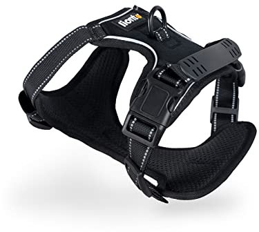 lionto Hundegeschirr gepolstert aus weichem Nylon, Größe L, reflektierendes Anti Zug Geschirr für Hunde mit 2 Ringen & 4 Einstellgurten, Zwei Klickverschlüsse & gummierter Griff am Rücken, schwarz
