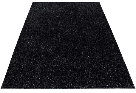Stilvoll Günstig by ELMM Teppich Wohnzimmer Schlafzimmer Anthrazit 200 x 290 Unicolor - Einfarbig Kurzflor