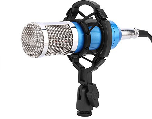 Mtlavishness Microfono a Condensatore Professionale BM-800 per Suono di Qualità dello Studio di Karaoke Online Adatto per Cantare Registrazione di Streaming Live con Filtro Pop Inc
