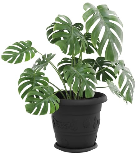 vidaXL Blumentöpfe 24 pcs Schwarz Ø 34 x 28 cm Kunststoff, Balkonpflanzgefäße, zylindrisch, modern, langlebig, leicht für städtischen Wohnraum