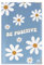 Color Pop Porte-papiers Voiture Nouveau permis - France - PVC – papiers français – Carte Grise Nouveau permis Conduire – 13,8 x 9 cm (Imprimé be Positive)